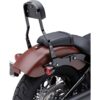 14" Detachable Backrest Kit