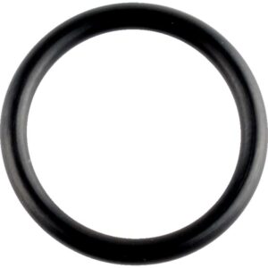 Crankcase O-Ring